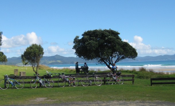 coromandel